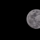 Illustration for article titled Well I’ll Be... It’s The Moon… Old Gray Tits Himself, In The Flesh… Los Mooños De Noche…